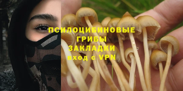бошки Арсеньев