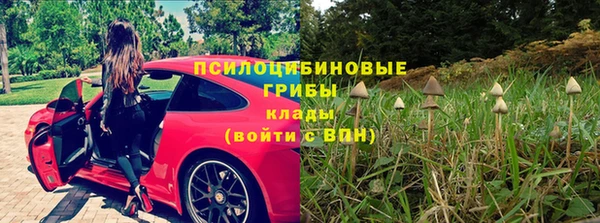 СК Балахна
