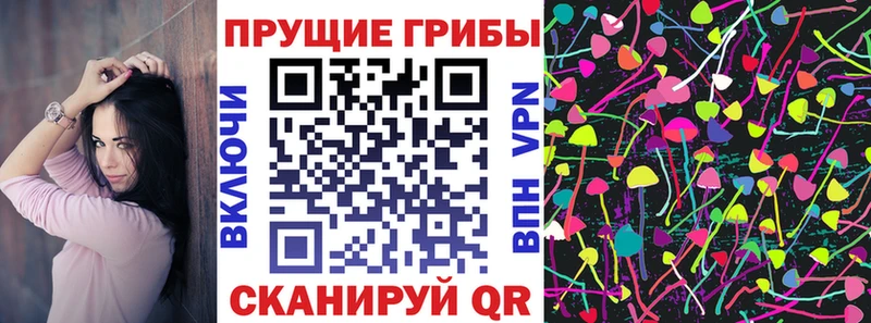 Галлюциногенные грибы ЛСД  как найти закладки  Тайга 